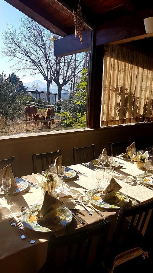 La Collina Dei Cavalieri Villa Belvedere Ostrense Kültér fotó