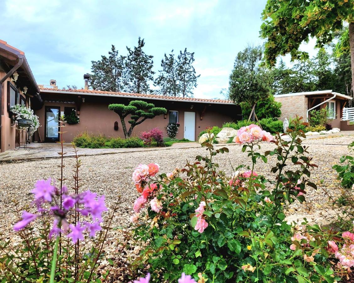 La Collina Dei Cavalieri Villa Belvedere Ostrense Kültér fotó