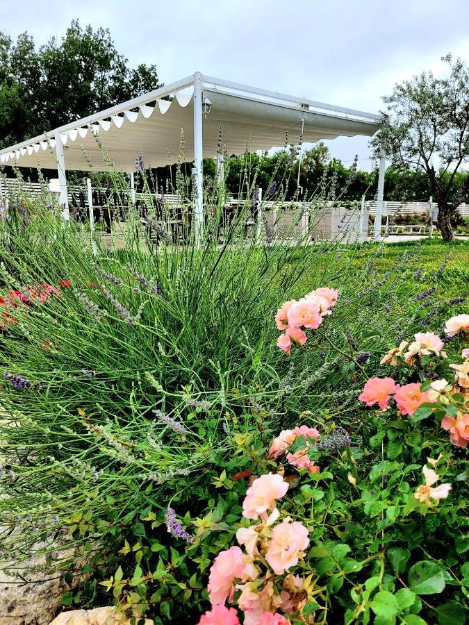 La Collina Dei Cavalieri Villa Belvedere Ostrense Kültér fotó