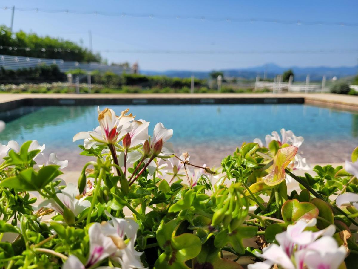 La Collina Dei Cavalieri Villa Belvedere Ostrense Kültér fotó