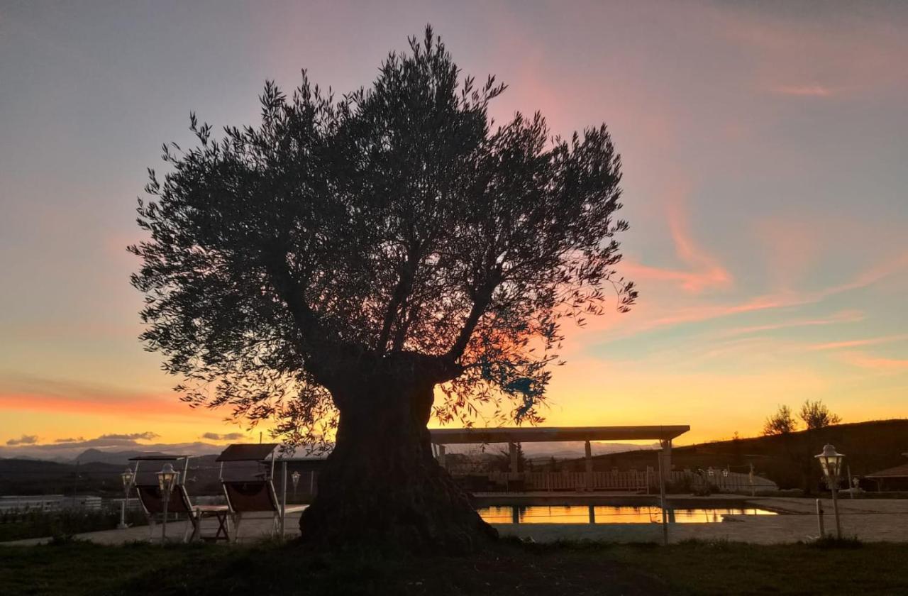 La Collina Dei Cavalieri Villa Belvedere Ostrense Kültér fotó